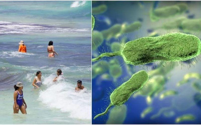 Alertan por bacteria