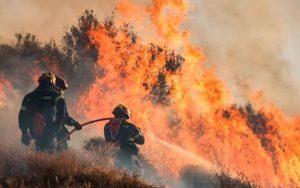 Incendios forestales