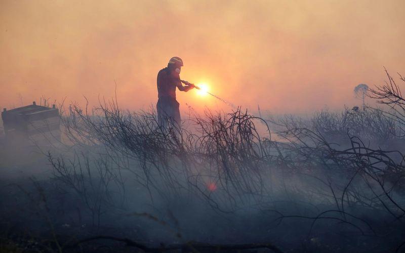 Miles evacuados
