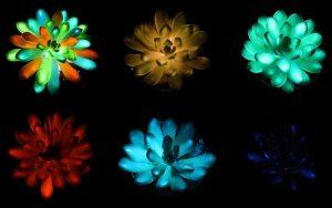 Las plantas incandescentes