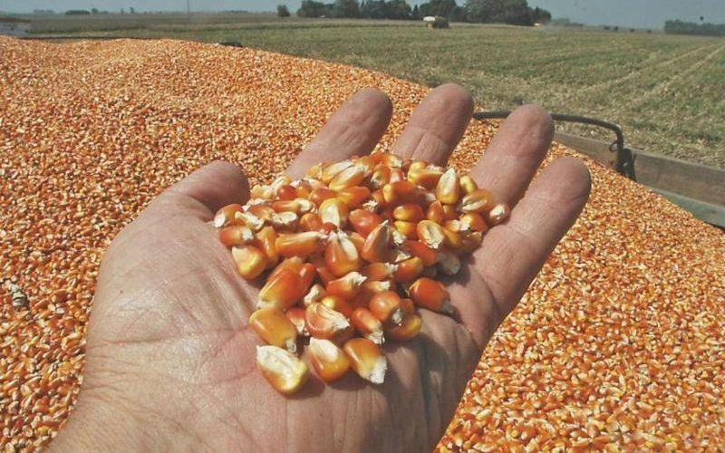 Récord de producción