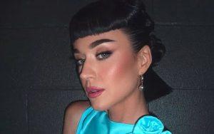 ¿Qué hizo Katy
