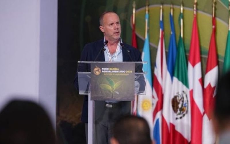 Sector agropecuario