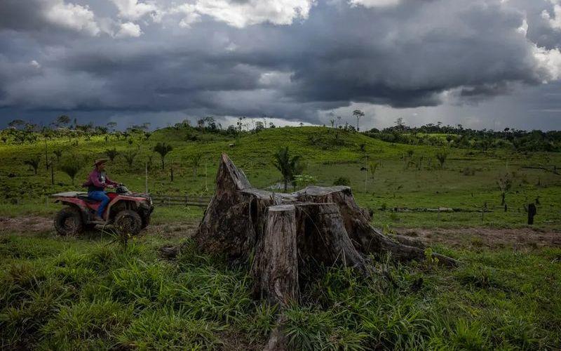 Un nuevo estudio
