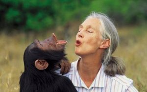 Muere Jane Goodall