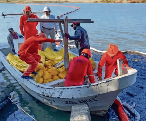 crop-w778-h649-captura-de-pantalla-2025-10-23-a-las-25107-p-m-b81710d9