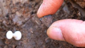 Arqueólogos encuentran