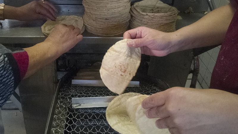 Liberan a tortillerías