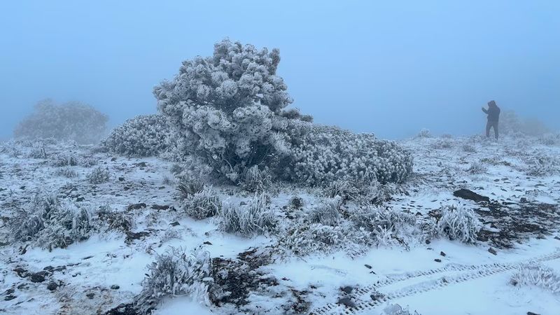 ‘Las nieves de enero