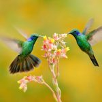 Esta es la millonaria