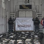 Marina logra