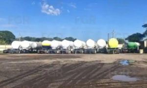 Realizan aseguramiento