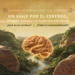 0314f875-bf28-49d7-898b-d37df7f18830