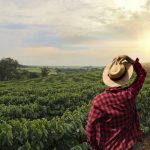 EU llena su despensa