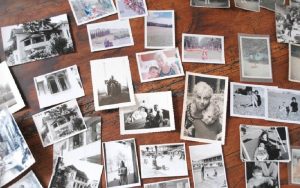 El acervo de Octavio