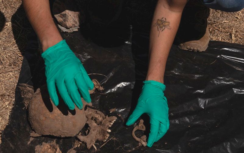 Organizaciones civiles