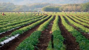 Piden eliminar cuota