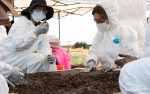 En 10 días, hallaron