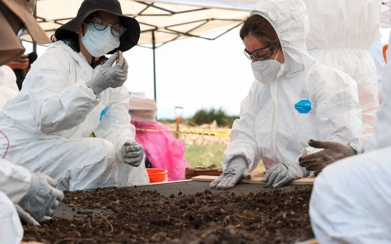 En 10 días, hallaron