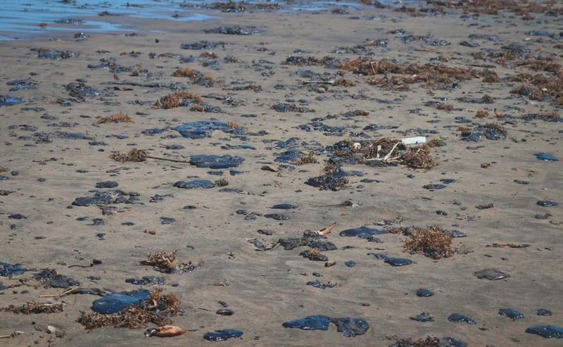 Greenpeace- sancionan