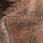 Identifican grabados