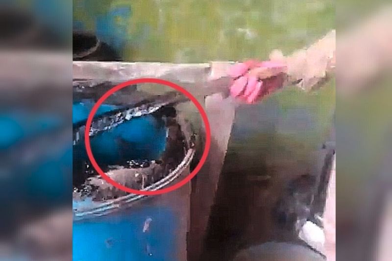 Buscadoras denuncian