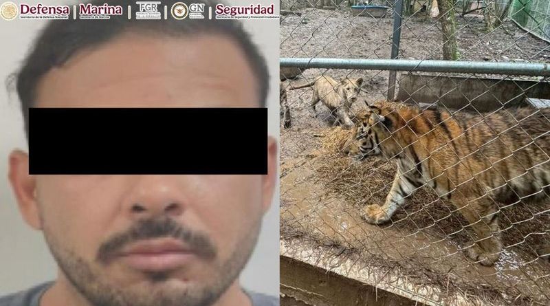 Cae líder de una