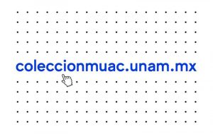 El MUAC digitaliza