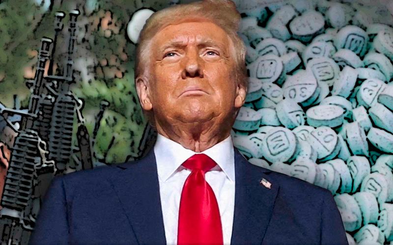 Estrategia antidrogas