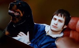 ‘Amores Perros