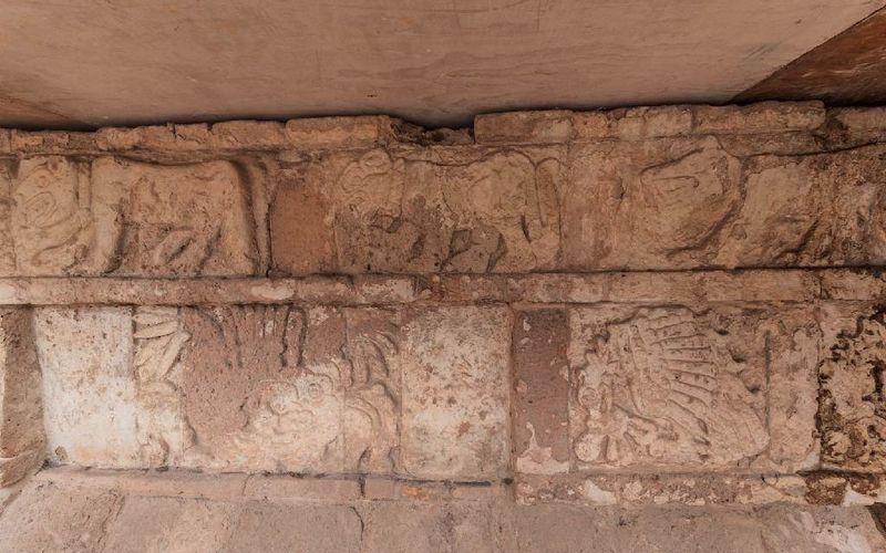 Descubren estructura