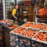 El tomate mexicano