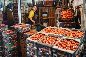 El tomate mexicano