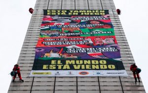'La pelota vuelve