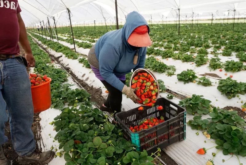 México le arrebata
