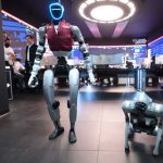 Perro robot y