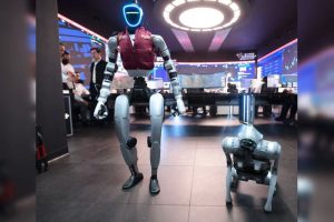 Perro robot y