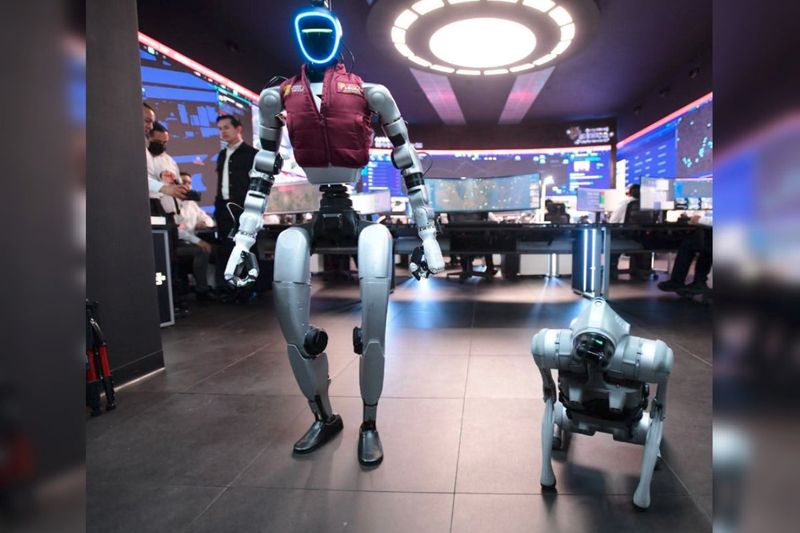 Perro robot y