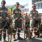 Perros, bomberos