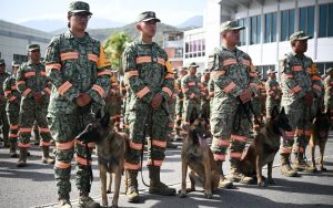 Perros, bomberos