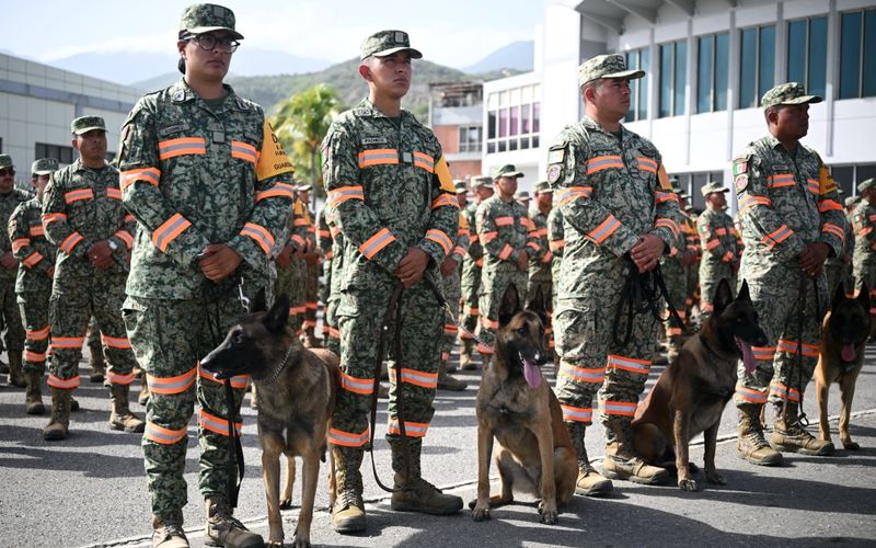 Perros, bomberos