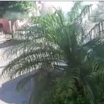 Atacan a balazos