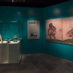 Exposición revisa