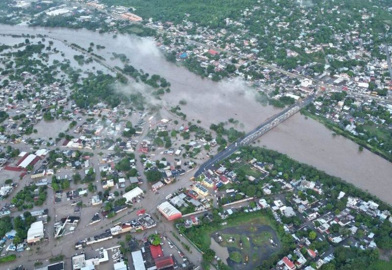 El fenómeno