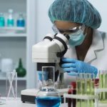 Primer biofungicida