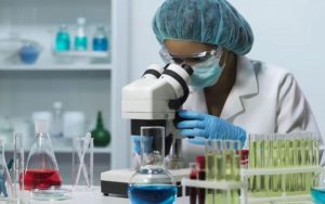 Primer biofungicida