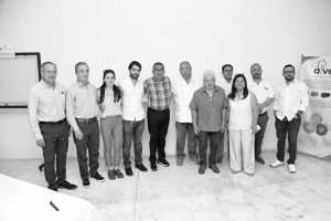 pag 16 gris