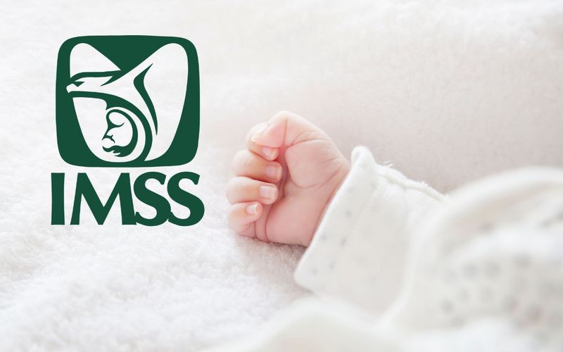 IMSS investiga