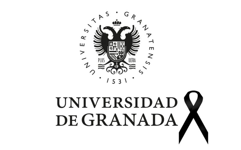 Universidad de