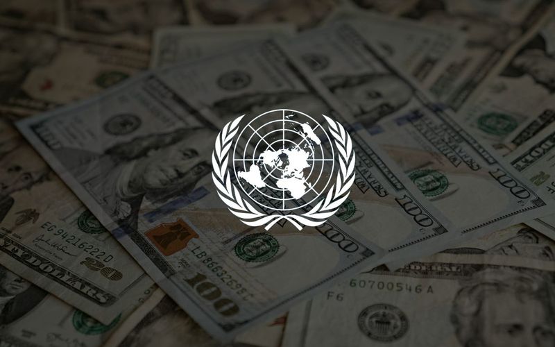 La ONU libera